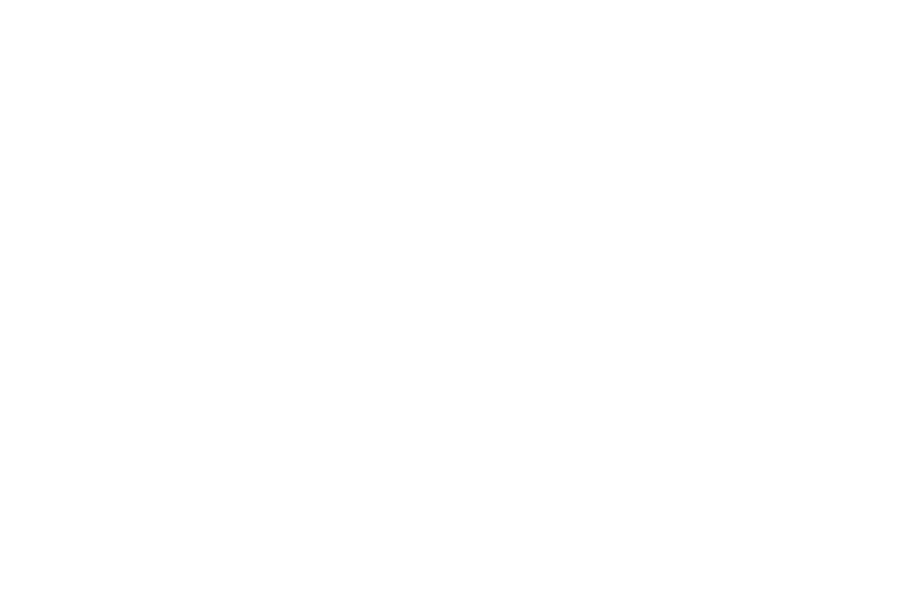 Paula S. Photographie
